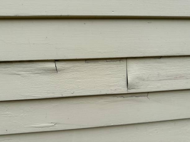 Best Insulated Siding Installation  in USA